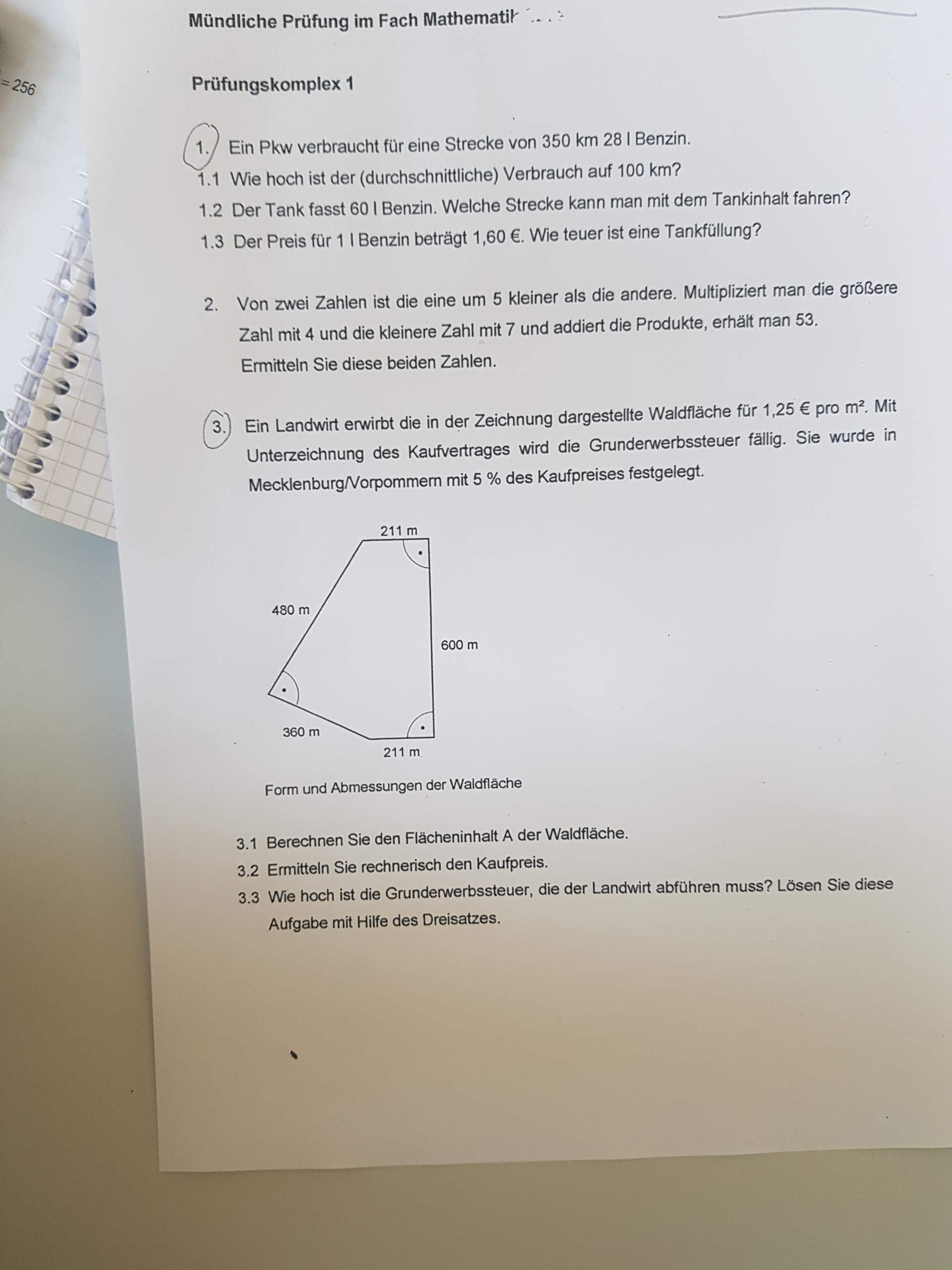Könnt ihr mir bei Mathe bitte helfen? (mündliche Prüfung)? (Schule