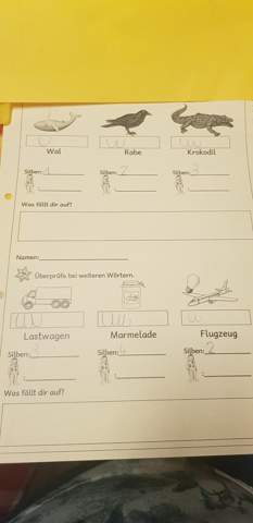 Könnt jemand die Aufgabe erklären (Karibu 1. Klasse, Deutsch, Silbe?