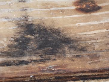 koennte das Schimmel sein? (Holz, Badezimmer, Fliesen)