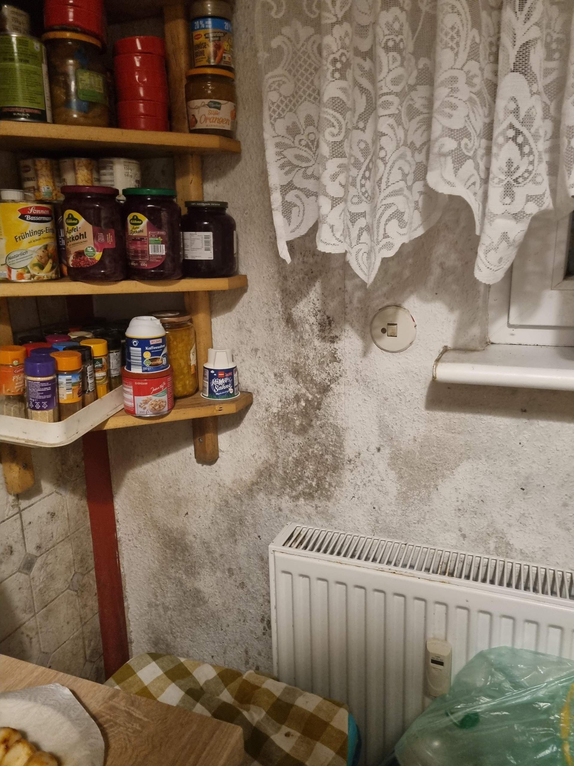Muse In Der Wohnung Gesundheitsamt