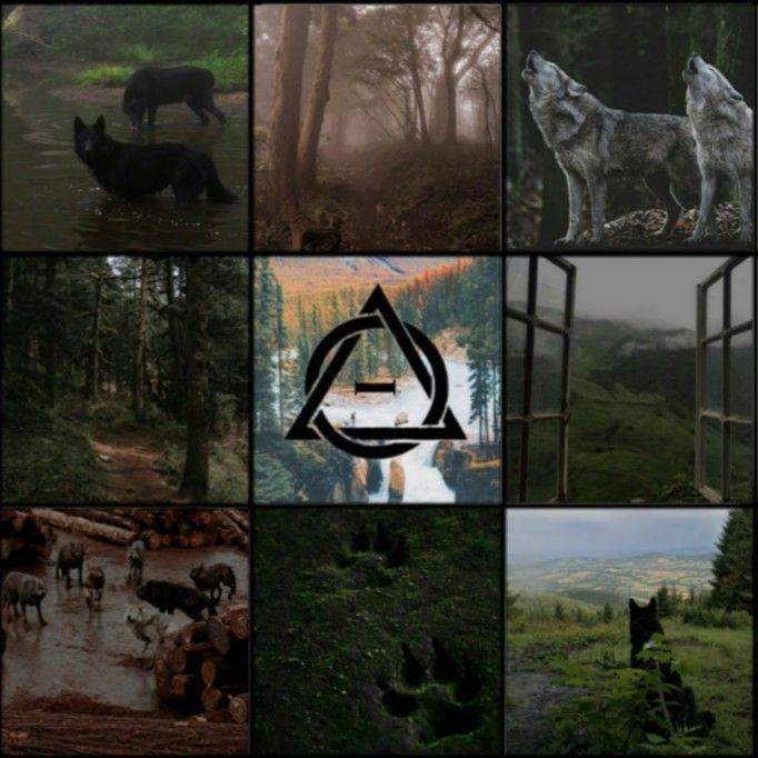 Könnte ich ein Therian sein? (Spiritualität, Therianthropie)