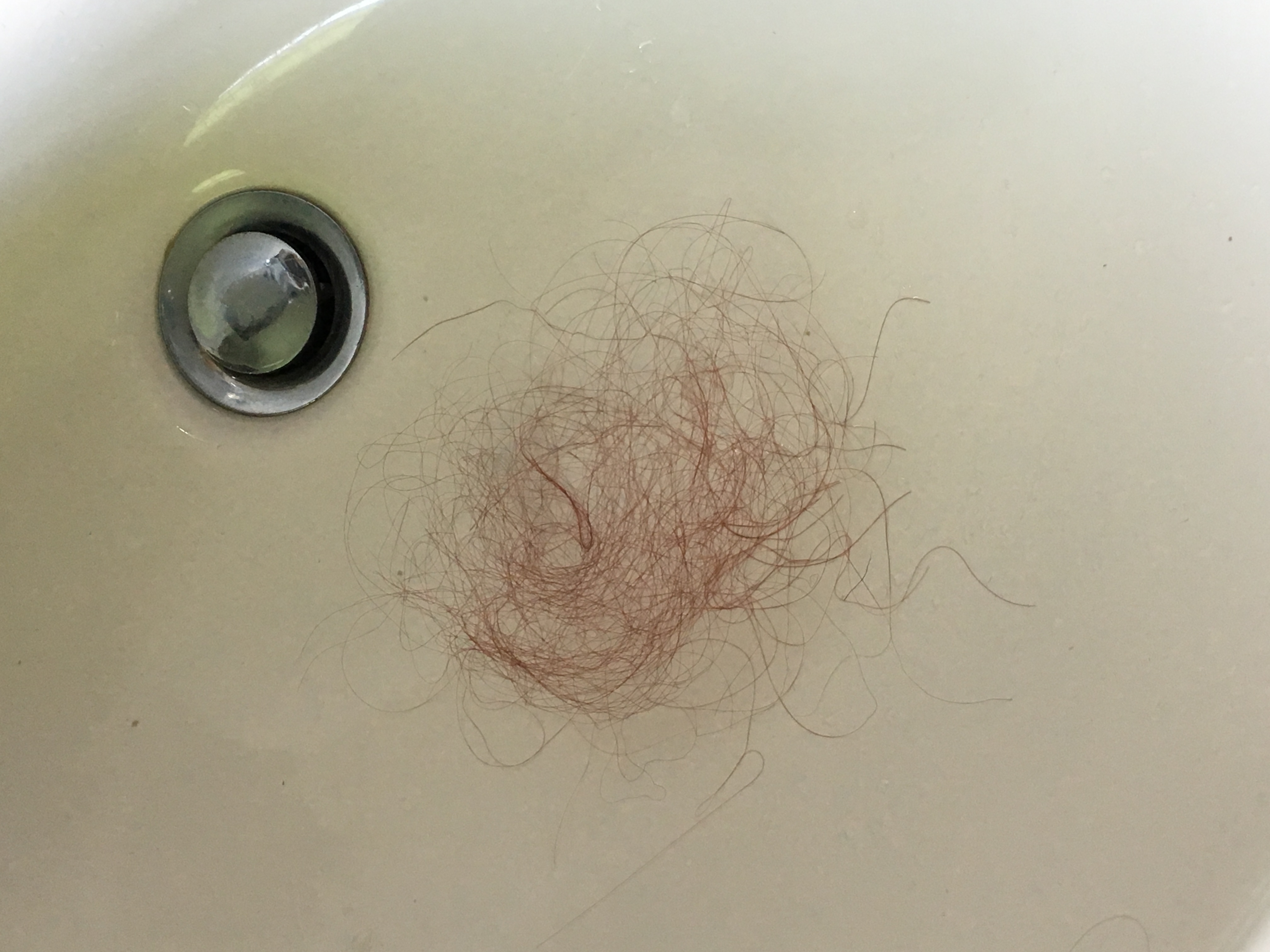 Wie Viele Haare Verliert Man Beim Duschen Könnte man die Menge an ausgefallenen Haaren nach dem Duschen als