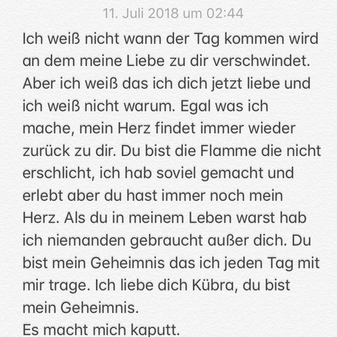 Konnte Mir Jemand Diesen Text Perfekt In Turkisch Ubersetzen Ohne Google Translater Sprache