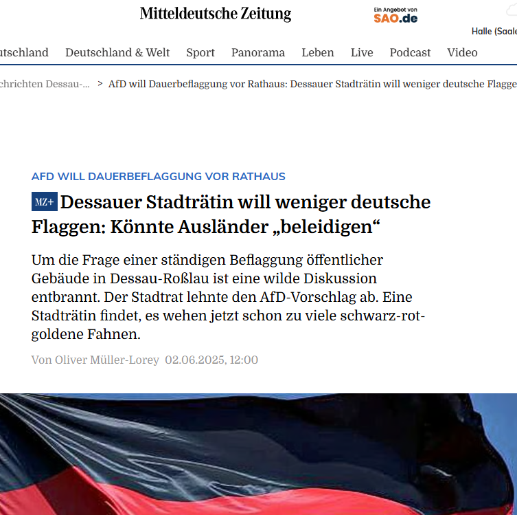 Könnten die Deutschlandflaggen Ausländer beleidigen? (Politik ...