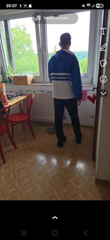 Bild zum Beitrag