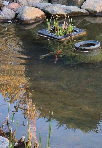 Bild zum Beitrag