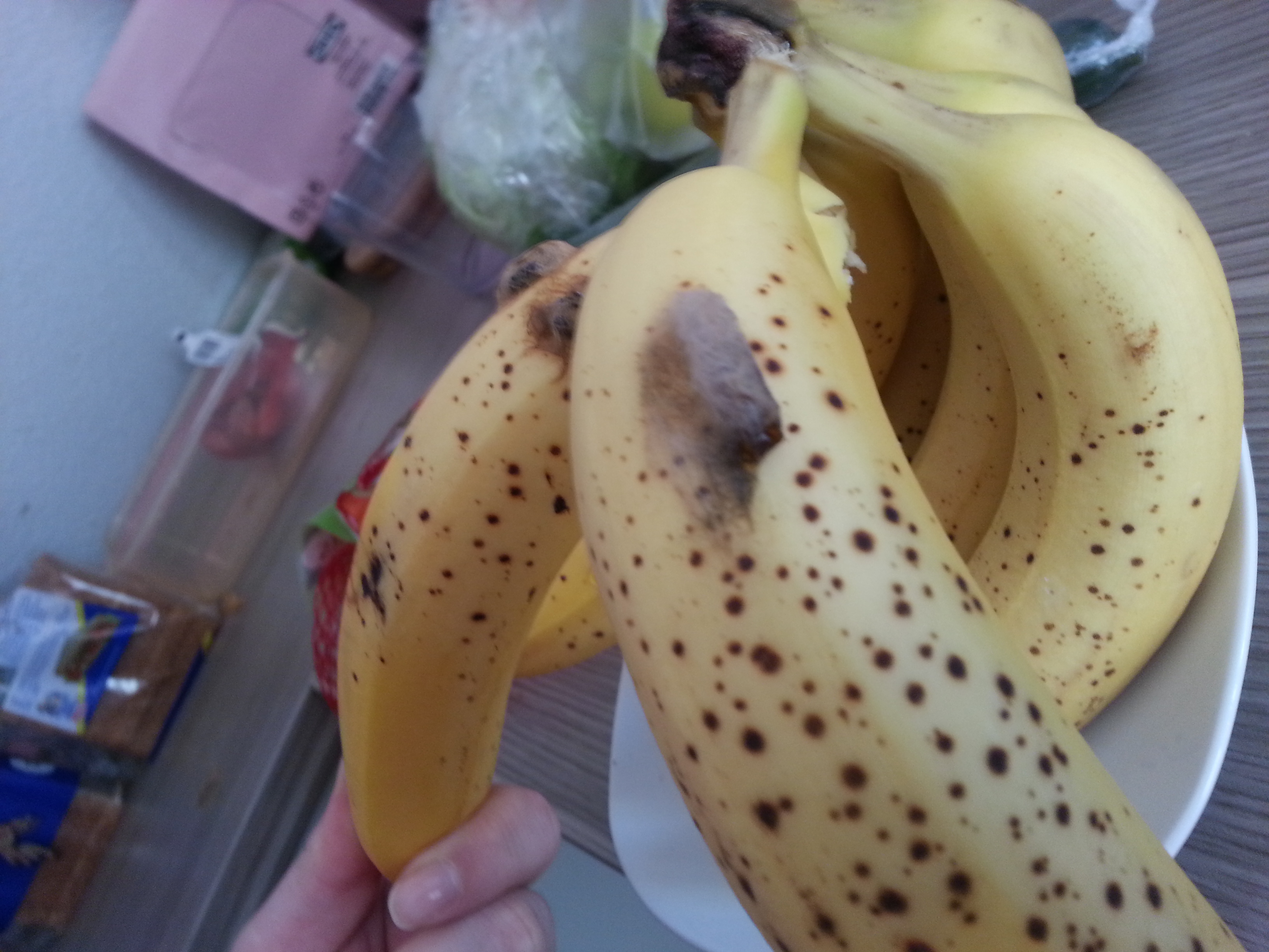 Kokons in Bananen! - Angst vor giftigen Spinnen (Insekten, giftig, Banane)