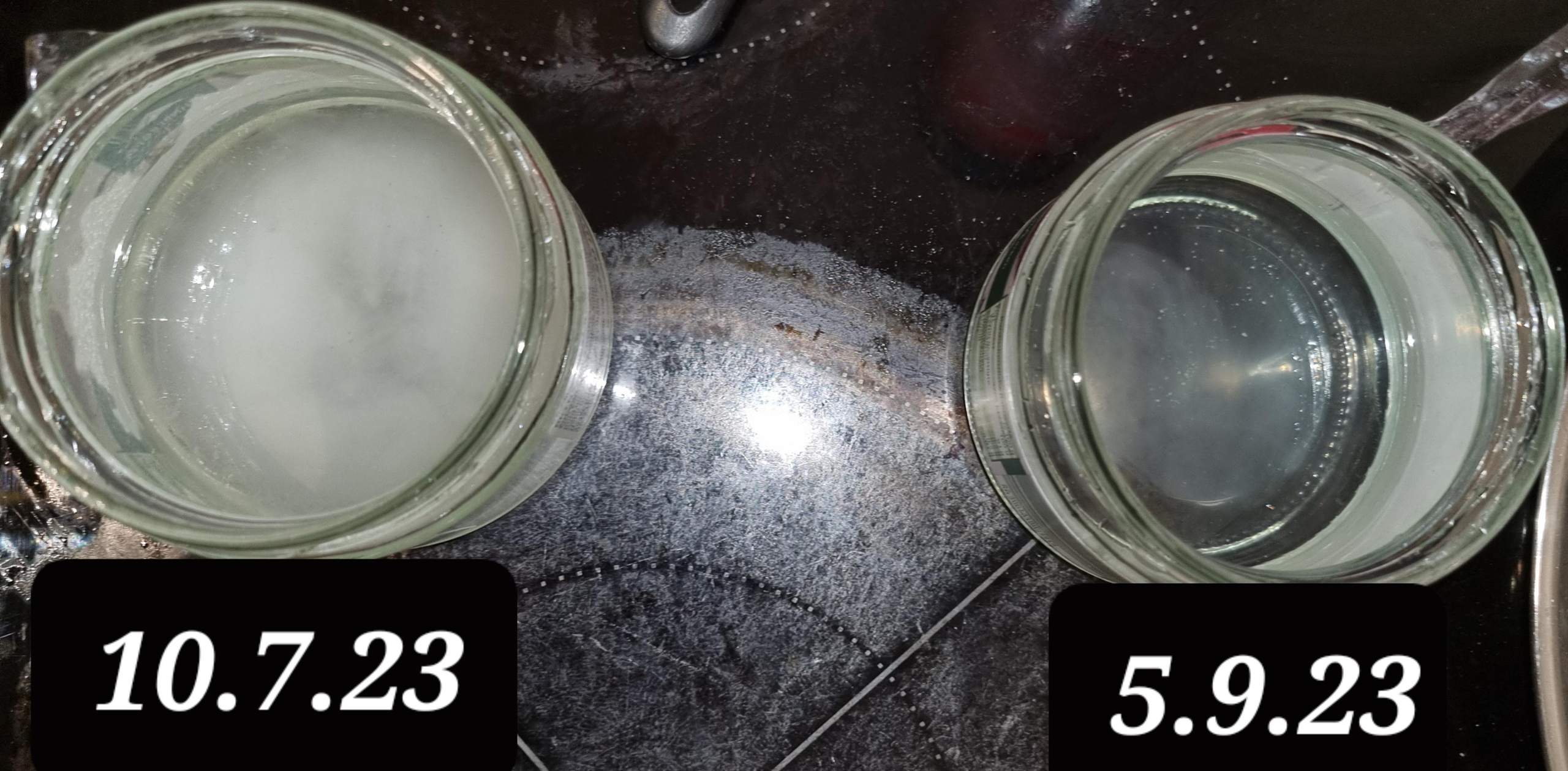 Kokosöl nativ (bio Schneekoppe)? (Haltbarkeit, Öl)