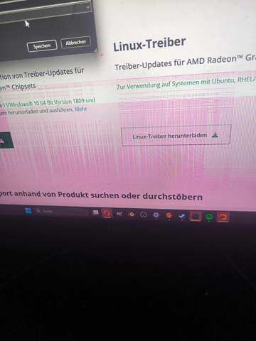 Bild zum Beitrag