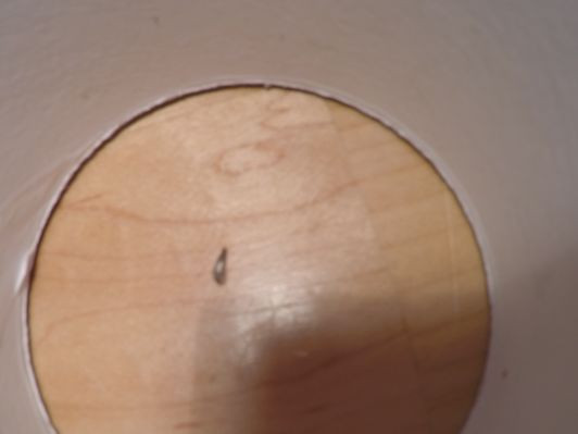 Schlechte Qualität - (wohnen, Insekten, Hygiene)