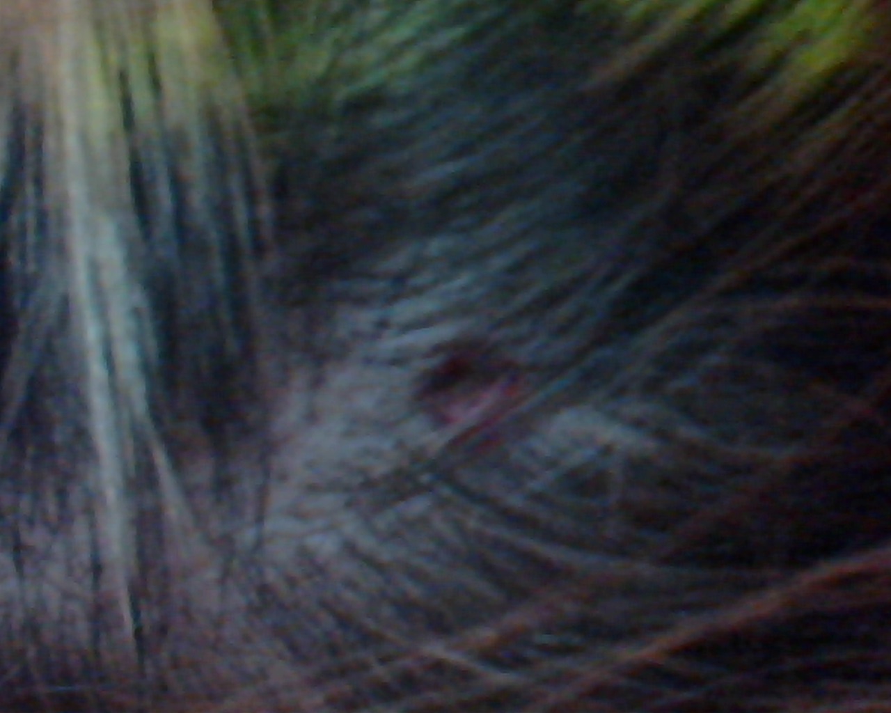 pickel im gesicht chinesische medizin kleine pusteln im gesicht jucken