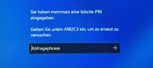 Bild zum Beitrag
