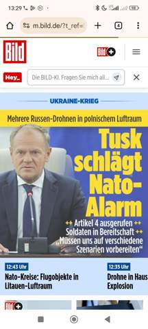 Bild zum Beitrag