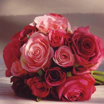<------ :D - (Geburtstag, Schlecht, Rosen)