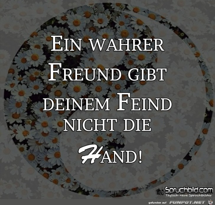 Komplizierte Frage....welcher Spruch trifft am ehesten auf Dich zu