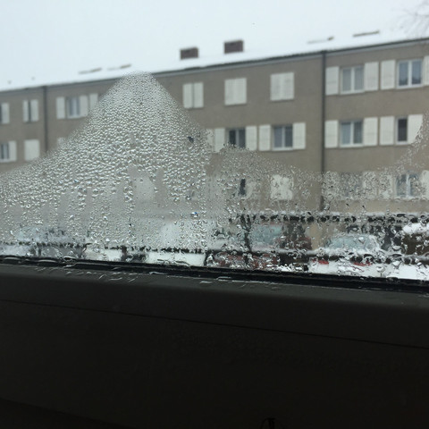 Kondenswasser am Fenster - (Gesundheit und Medizin, Wohnung, wohnen)