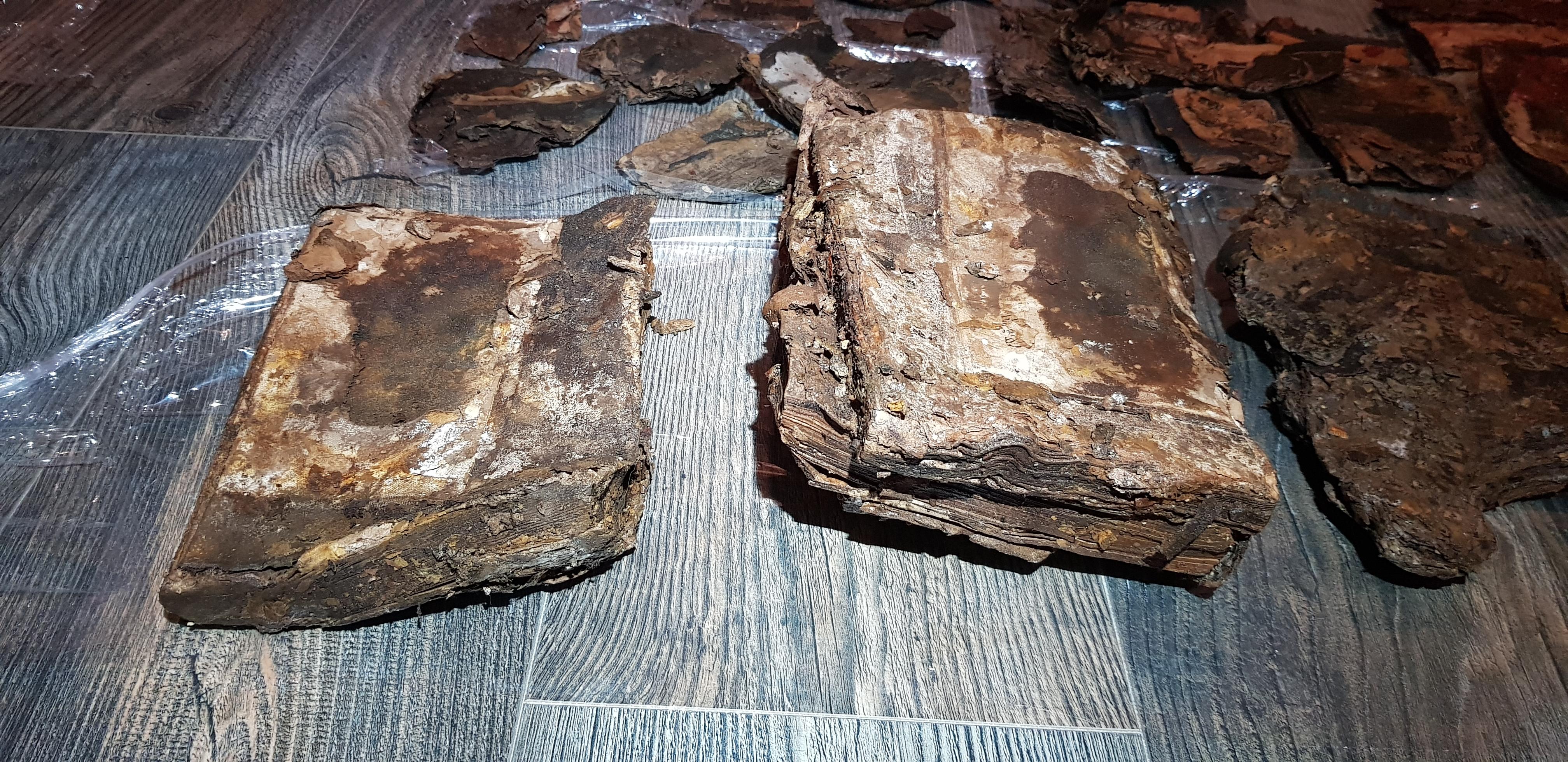 Konservieren Von Buchern Beim Sondeln Metalldetektor Alte Bucher Zeitkapsel