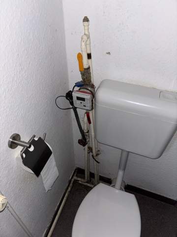 Bild zum Beitrag