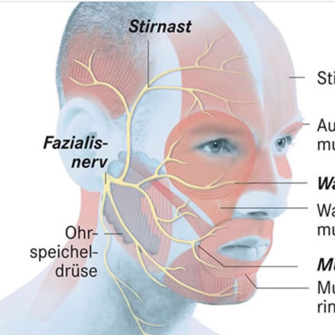 Kann es an den Nerven liegen? - (Medizin, Arzt, Schmerzen)