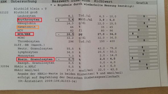 1b - (Gesundheit, Körper, Arzt)