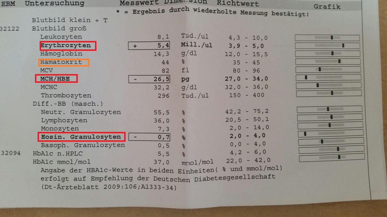 Kopie der Blutwerte, viele Werte schlecht aber Arzt hat nichts gesagt