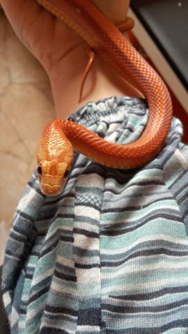 Vertrauen aufbauen nach lügen Vertrauen aufbauen nach lügen