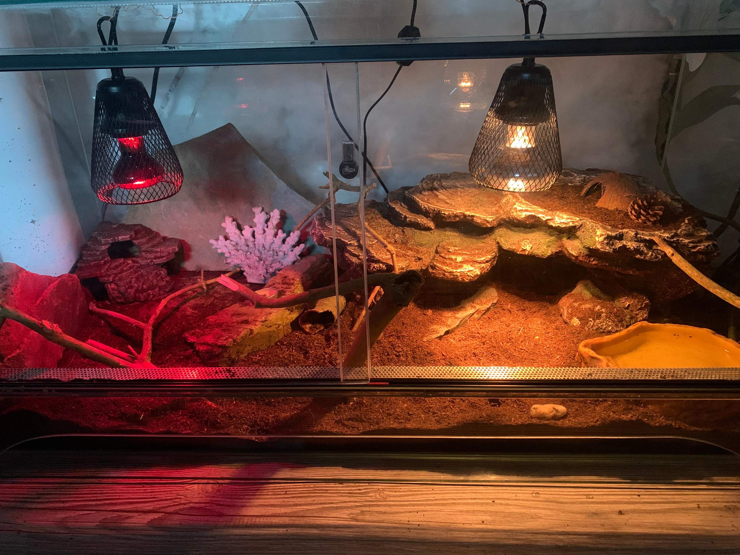 Balacoo Reptilien-Heizkissen, 2 Stück, 30x30cm – Wärmereflektierende Unterlage Für Terrarien, Ohne Strom, Für Schlangen, Echsen, Schildkröten