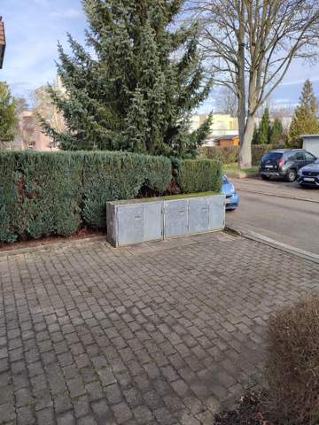 Bild zum Beitrag