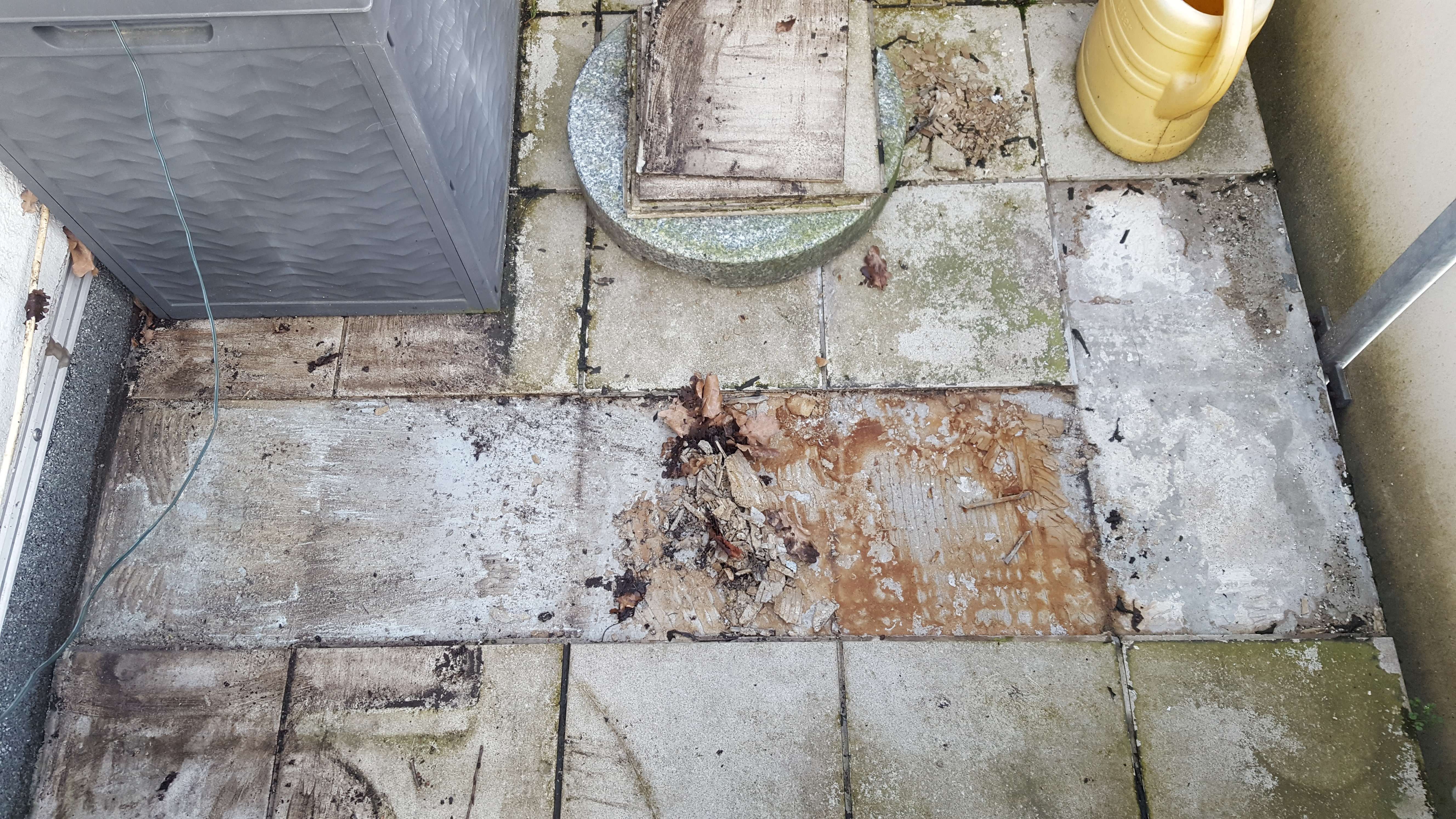 Kosten Steinteppich Auf Balkon Verlegen Lassen Heimwerken Fliesen Bodenbelag
