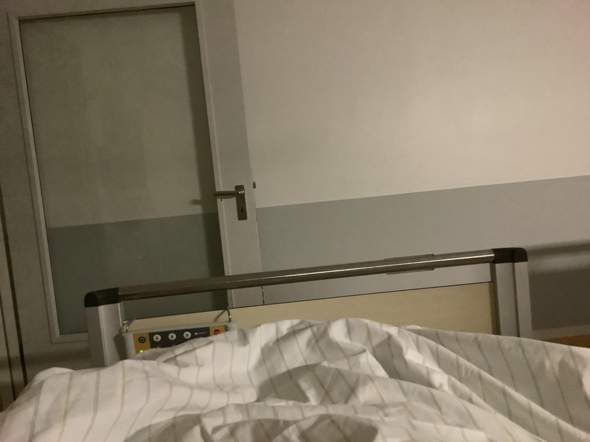 Bild zum Beitrag