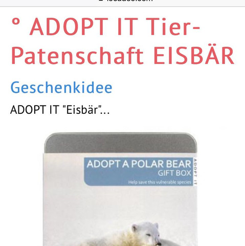 Kreatives Geschenk Eisbar Freunde Geburtstag Ideen