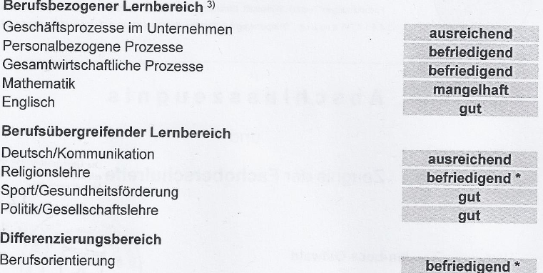 Kriegt man mit diesen Realschulabschluss eine IT Ausbildung? (Schule