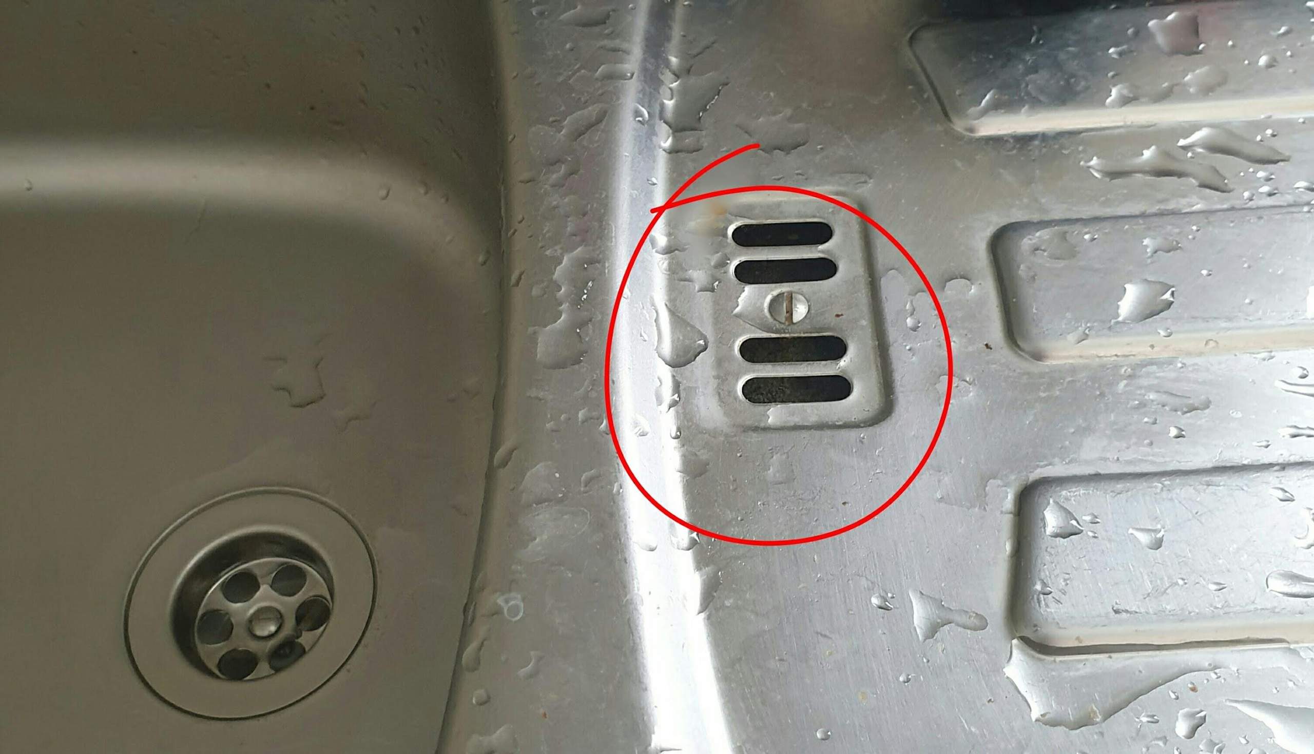 Küche Spüle riecht modrig? (Wohnung, Wasser, Sanitär)