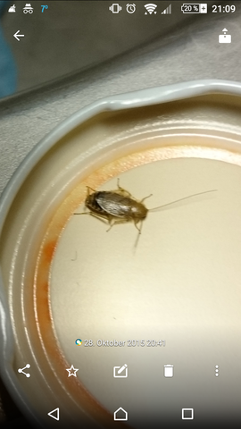 Parship model 2015 Parship model 2015