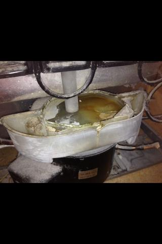 Kuhlschrank Frage Elektronik Strom Reinigung