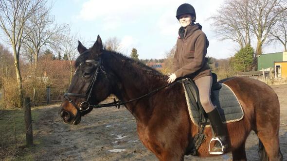 Kunststucke Einem Alterem Pferd Beibringen Pferde Training Bodenarbeit
