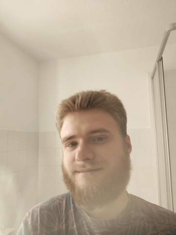 Bild zum Beitrag