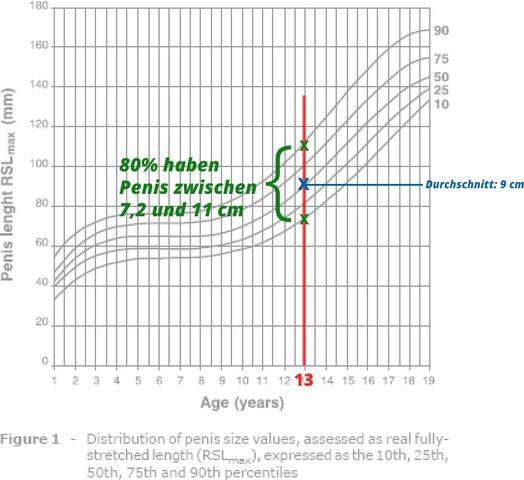 Penisgröße Statistik 🍓penisgröße Was Ist Das Idealmaß