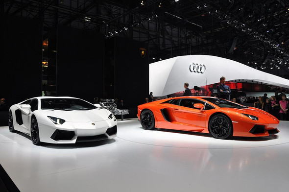 Die 2 Kampfstiere - (Farbe, lamborghini)