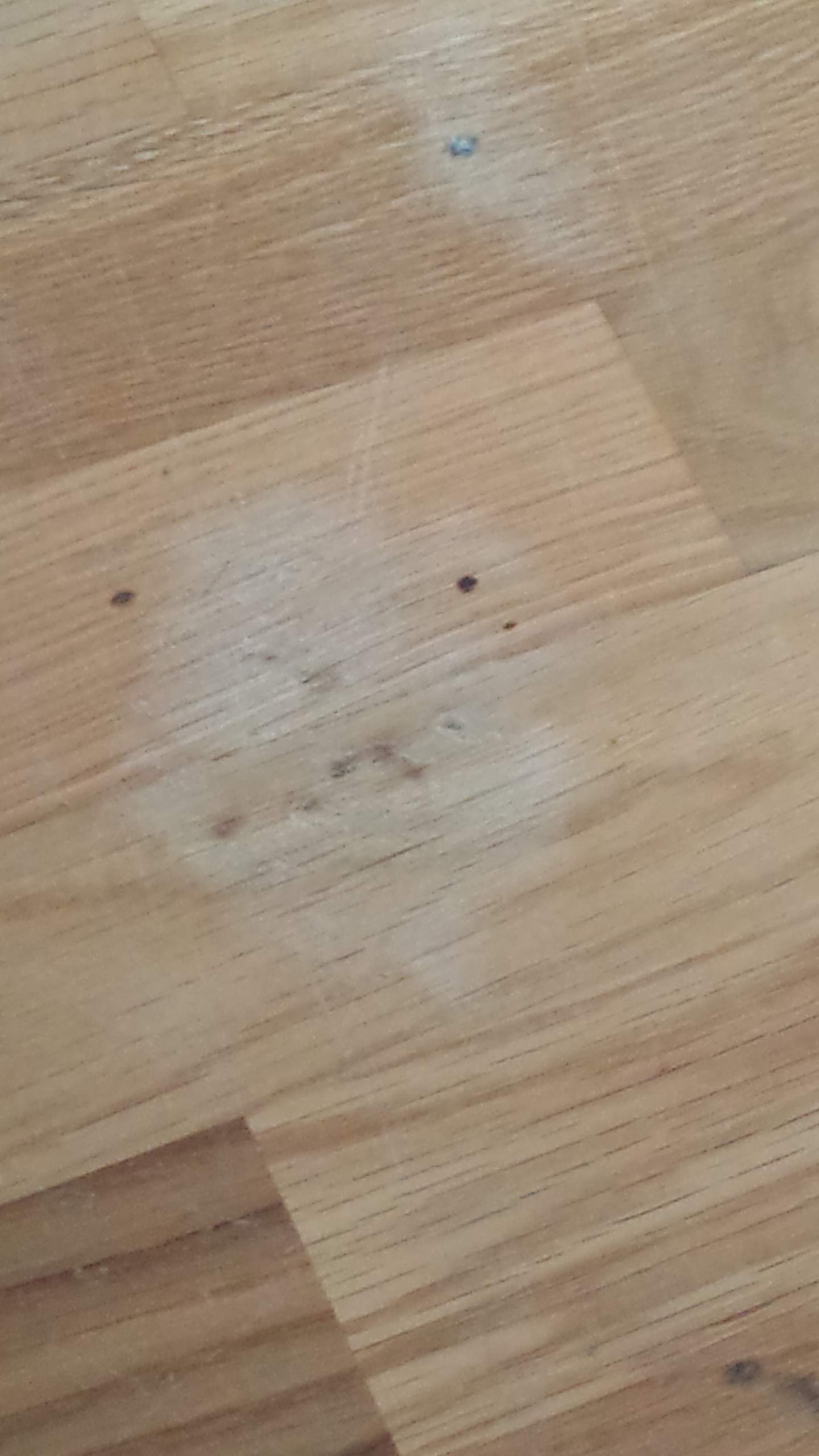 laminat fleck rausbekommen (Flecken)