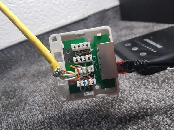 Lan Dose Richtig Anschliessen Computer Technik Technologie