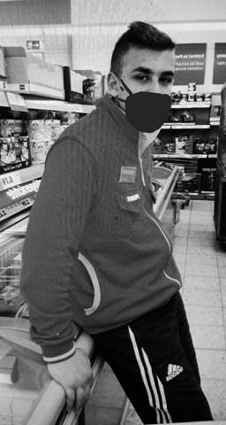 Bild zum Beitrag