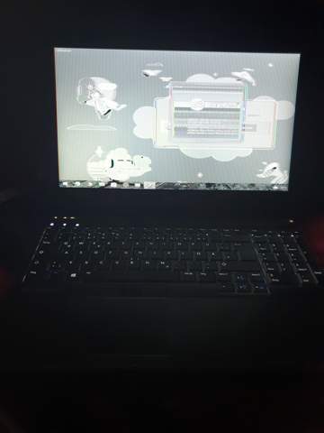 Laptop kaputt?