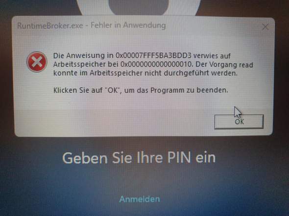 Bild zum Beitrag