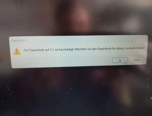 Bild zum Beitrag