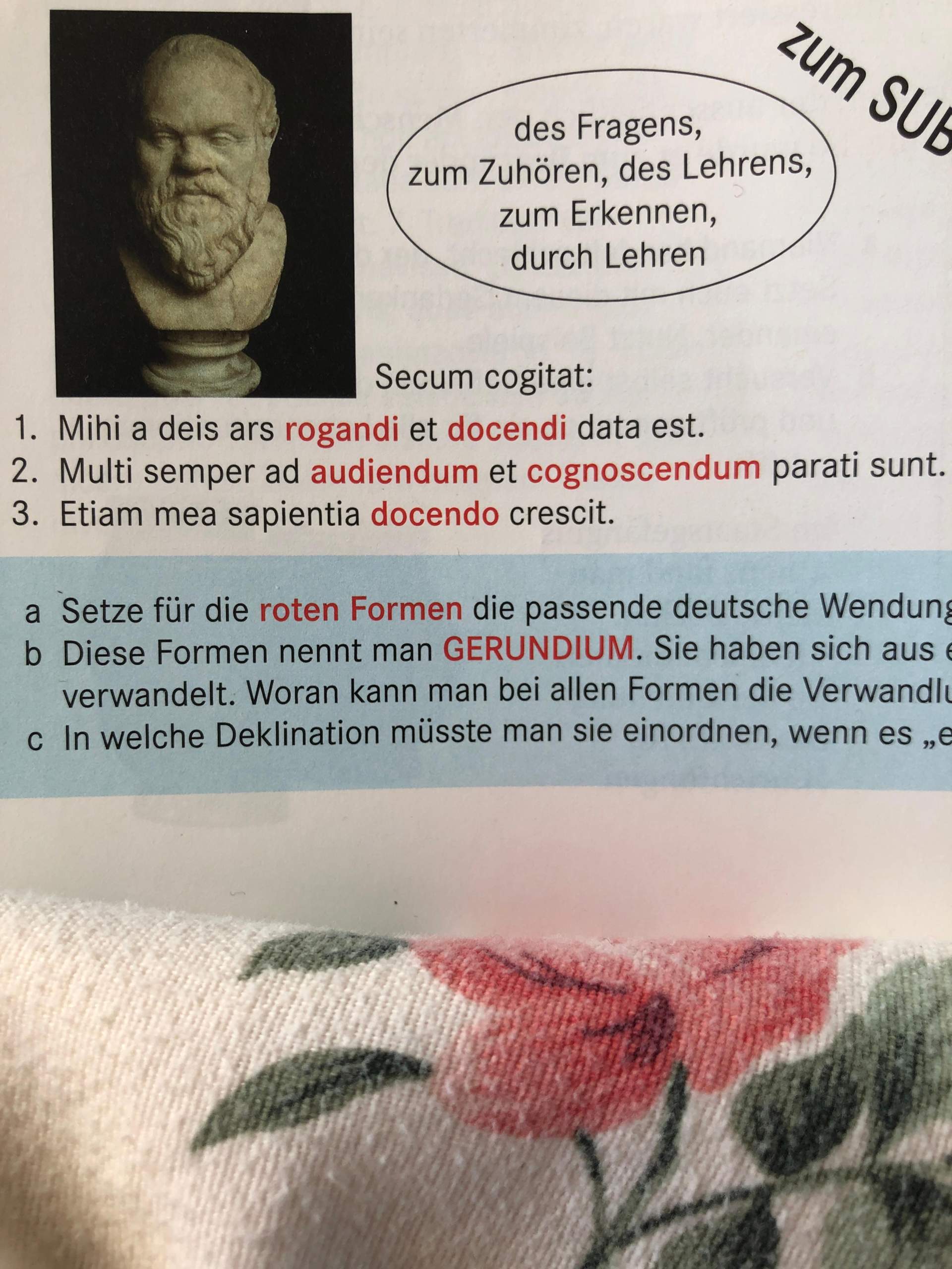 Was Heißt Hallo Auf Latein