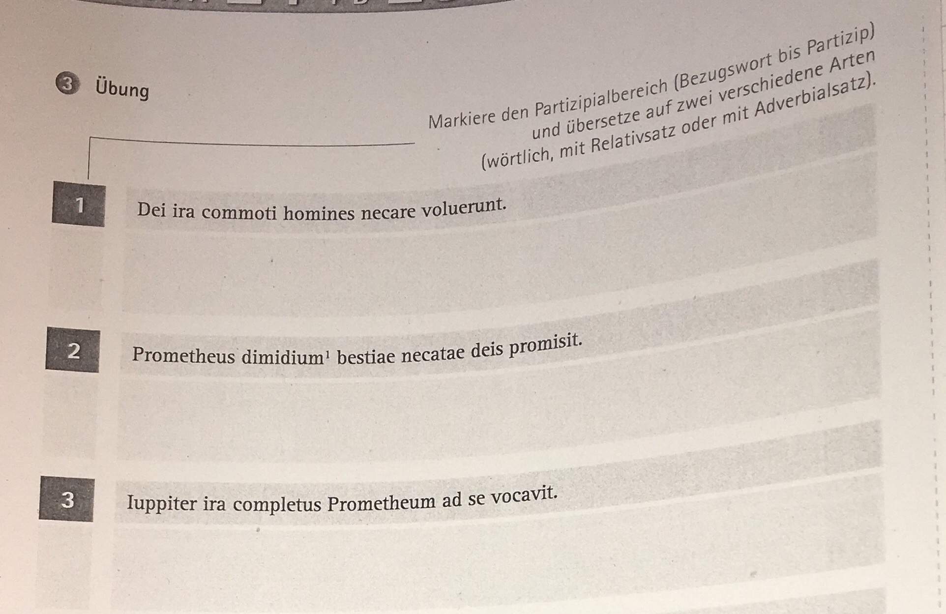 Latein Partizip erklären? (Schule, Sprache, Übersetzung)