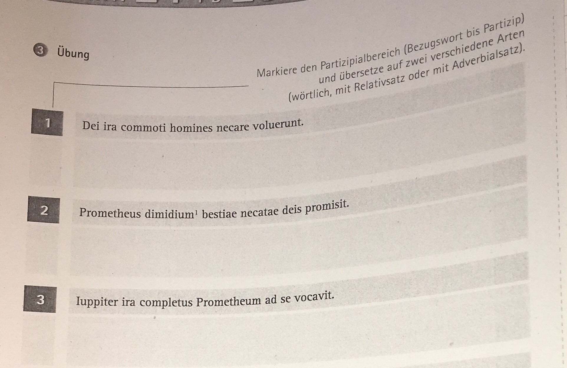 Latein Partizip Erklaren Schule Sprache Ubersetzung