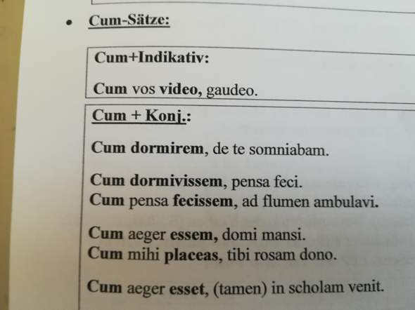 Latein-Sätze übersetzen? (Schule, Sprache, Übersetzung)