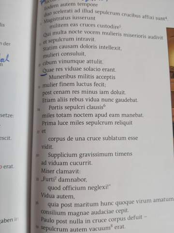 Latein Übersetzug( Die Witwe von Ephesos)? (Computer, Schule, Sprache)